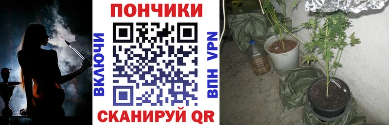 Названия наркотиков Междуреченск Cocaine  ГАШИШ  АМФЕТАМИН  Конопля  APVP 