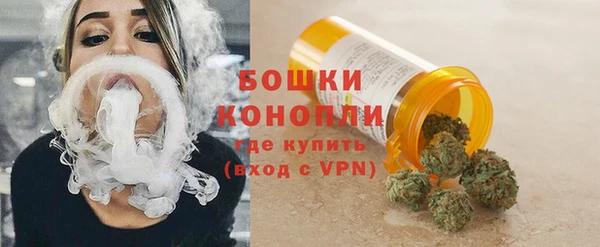 винт Аркадак