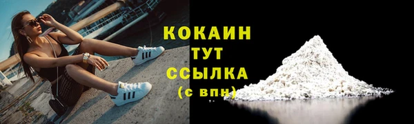 PSILOCYBIN Армянск