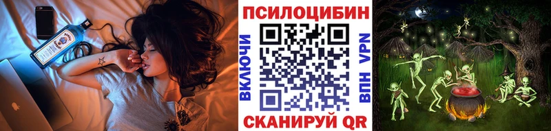 Псилоцибиновые грибы Psilocybine cubensis Междуреченск