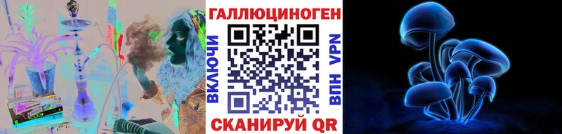 Галлюциногенные грибы Psilocybe Междуреченск